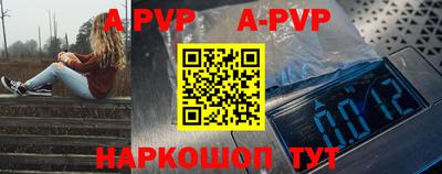 МДПВ Кингисепп