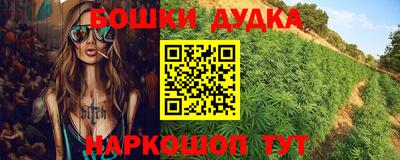 спиды Кимры