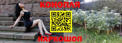 МДПВ Кингисепп