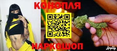 МДПВ Кингисепп